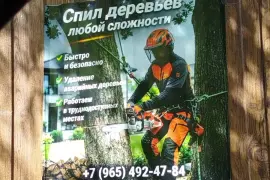 Спил деревьев /расчистка участков 