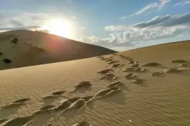 Бархан Сыракум 