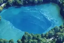 🌊 